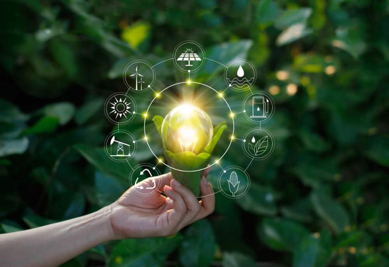 Consultoria de meio ambiente
